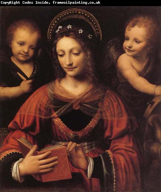 LUINI, Bernardino St.Catherine